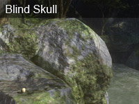 Blind Skull (Silver Skull)