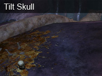 Tilt Skull