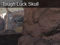 Tough Luck Skull